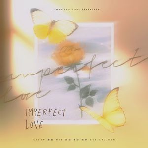 Imperfect Love