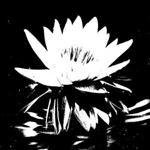 Tropism (Instrumental)