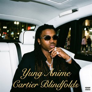 Cartier Blindfolds