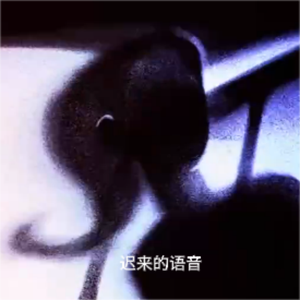 迟来的语音