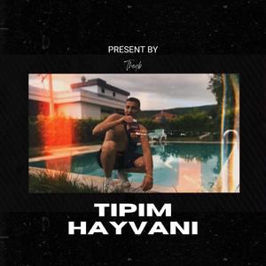 Tipim Hayvani