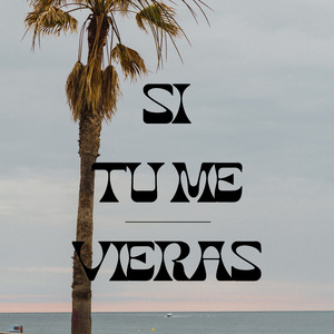Si Tú Me Vieras