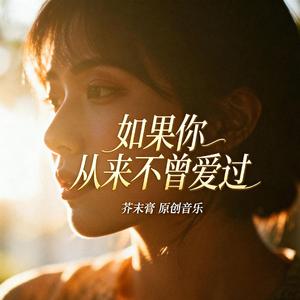 如果你从来不曾爱过（Funk版）