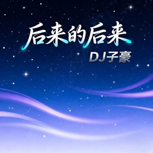 后来的后来 (DJ版)