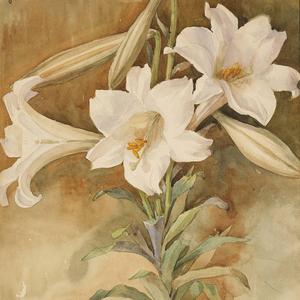 Quiet Easter Morning