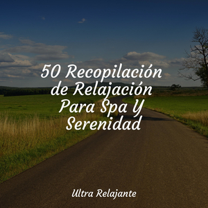 Soñar Sin Preocupaciones