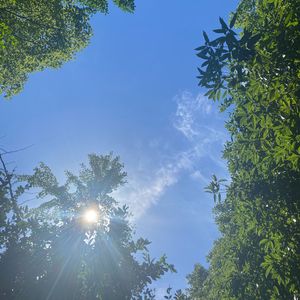 西夏王陵•没藏黑云