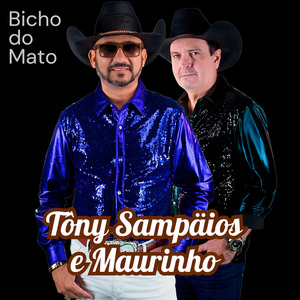 Feito Lobo
