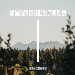 想你的风把我吹到了阿勒泰