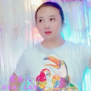 虞美人(金色音质版)