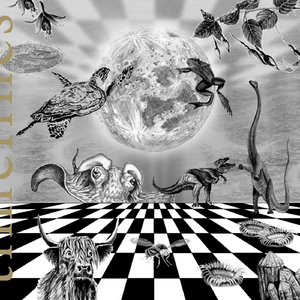 Timeline 1: From The Birth Of The Sun