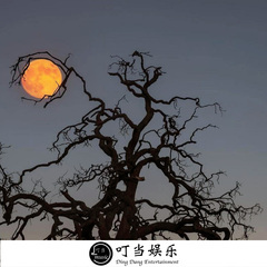 谁说夜店无真爱