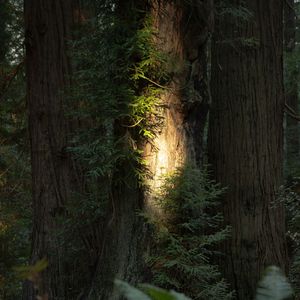 哪里都是你2.0（-2 Key Ver.）