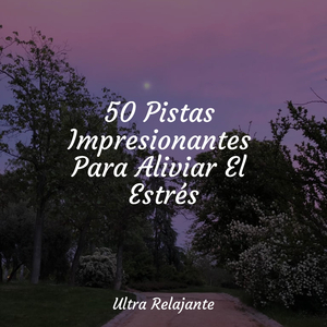 Interpretaciones Del Flujo De Agua