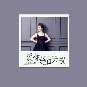 爱你绝口不提 (舞曲版)
