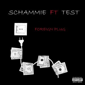 Foreign Plug