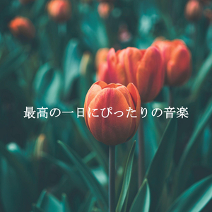 Glorious Moods for Favorite Coffee