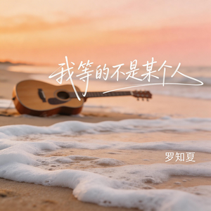 我等的不是某个人（激情版)