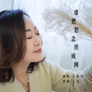 谁把思念织成网 (DJ版)