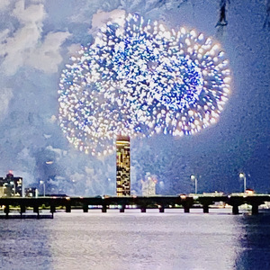 夜行ハイウェイバス 新宿行き