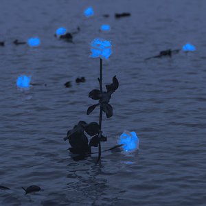 爱能克服远距离