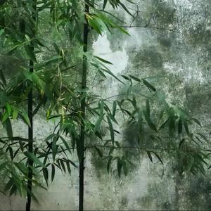 一笑江湖（江湖一笑浪滔滔  红尘尽忘了）