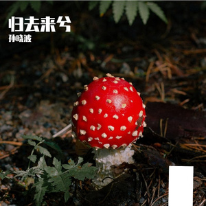 我喜欢浪费而她姓沈
