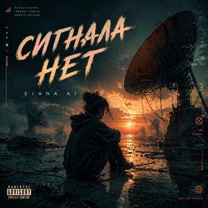Сигнала нет