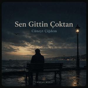 Sen Gittin Çoktan