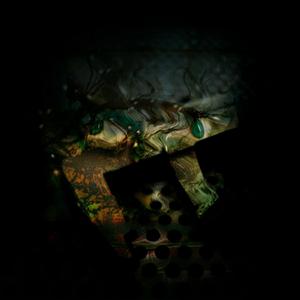 Mintus (feat. Carmen Gloria Donoso Riffo)