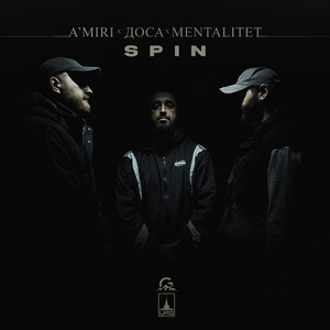 SPIN