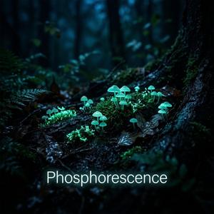 Phosphorescence