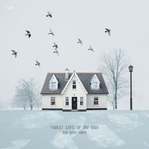 Moonlight in the Fog