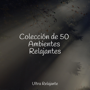 Resonancia De La Tierra