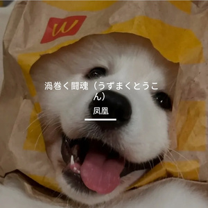 竹风摇佩玉