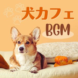 ワンちゃんのしつけ