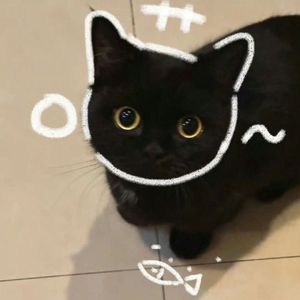 《顽强的适应者》