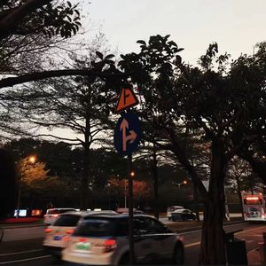 那时我早已随着她死去