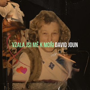 Vzala Jsi Mě K Moři