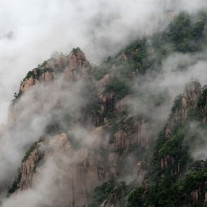 细腻微光