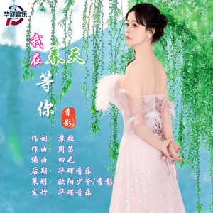 我在春天等你.