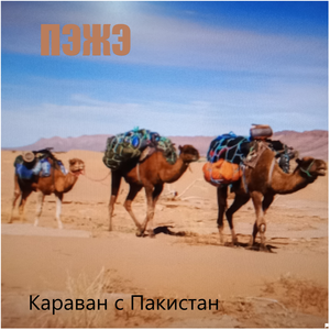 караван с пакистан