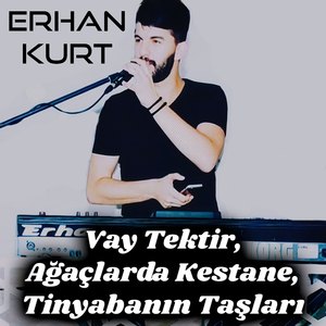 Vay Tektir, Ağaçlarda Kestane, Tinyabanın Taşları