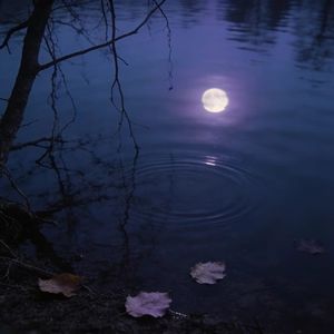 过往（prod.B0rn2luv$$$）