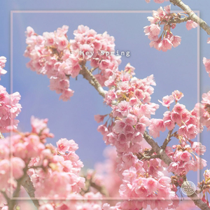 Hey Spring