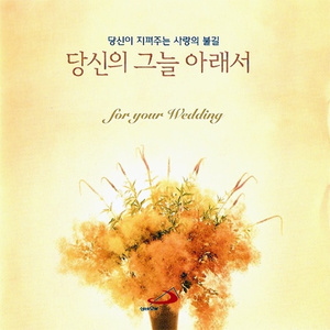 El Testament Da Amelia 아멜리아의 유언