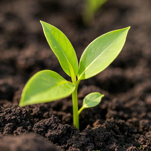 mudanca real (Remix)