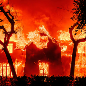 Young Master玩儿少爷