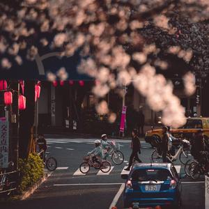 小伟超市真的太远了，还要穿过天桥，绕过图书馆。。。。。。