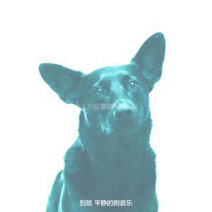 抚慰的冷静的狗回忆